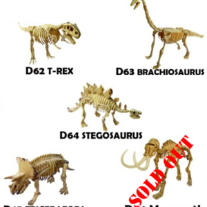 dinosaur skeletons educational toys
