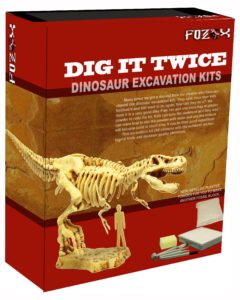 Dig it Twice Dinosaur Fossil Educational set
