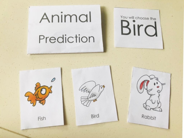animal prediction magic trick