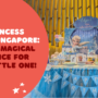 Best Princess Party Singapore: Craft A Magical Experience for Your Little One!