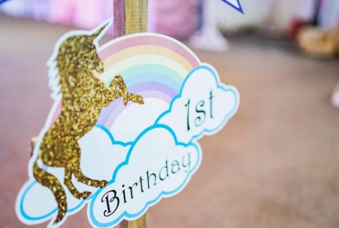 birthday party theme unicorn