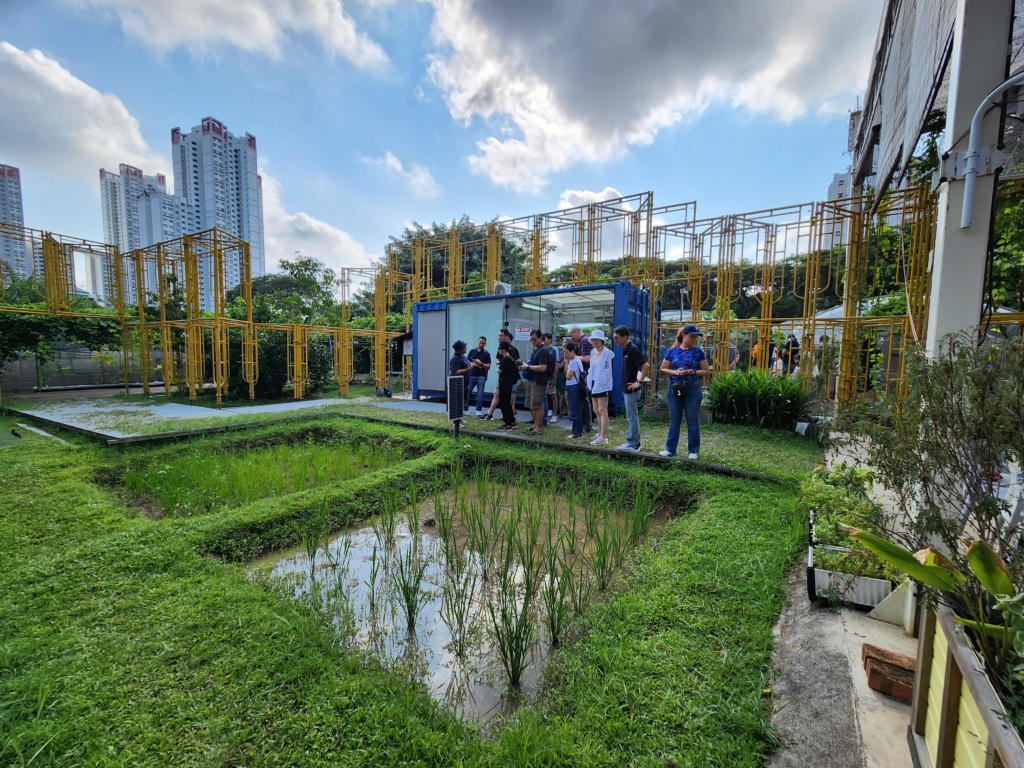 farm tour as part of a sustainability themed family event