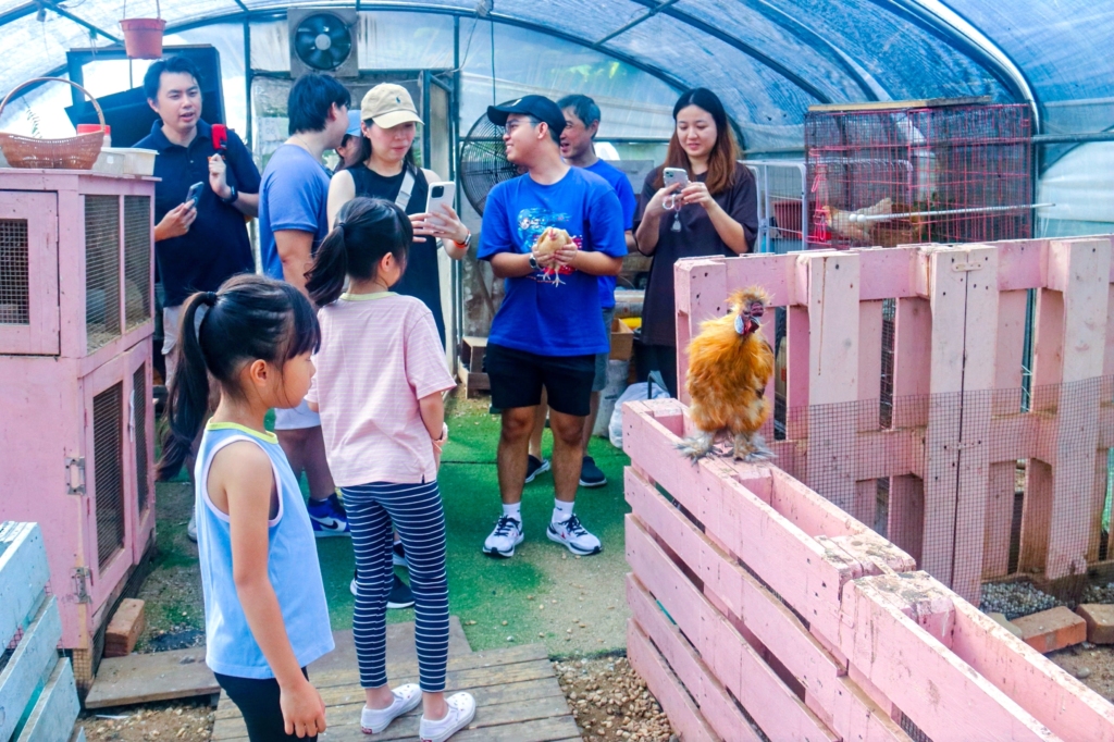 farm tour as part of a sustainability themed family event